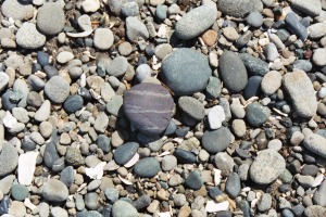 Beach Pebbles, June 2003