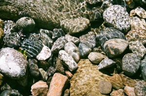 Stones in Beckler River, Washington, July 2010